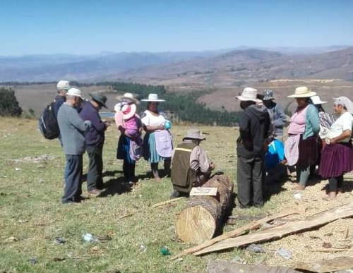 Ausbildung in Baumpflege und Zubereitung der Stämme 2019; Bild: Jesús Padilla