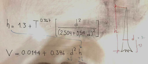 Formel für die Berechnung von Höhe und Volumen von Föhren